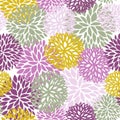 Floral seamless pattern. Chrysanthemum flowers background for web, print, textile, wallpaper design Royalty Free Stock Photo