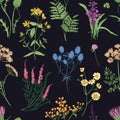 Floral seamless pattern with colorful forest herbs, herbaceous plants and blooming wild flowers on black background