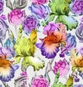 Floral seamless pattern. Colorful Spring Vector Backgrounds
