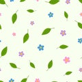 Floral seamless pattern, daisy or colorful chamomiles. Wild garden flowers and green leaves, female, baby fabric clothes