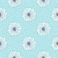 Floral seamless pattern with daisy flowers. Blue background with dots. Outline contoured botanic elements