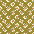 Floral seamless pattern with daisy Royalty Free Stock Photo