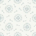 Seamless pattern for print. Floral composition with dandelion blow ball and seeds.