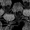 Floral seamless pattern. Decorative wallpaper with line tropical protea flowers, line illudtration on black background.