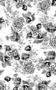 Floral seamless pattern with different flowers and leaves. Black and white Botanical illustration hand painted Royalty Free Stock Photo