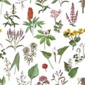 Floral seamless pattern, different swamp plants Royalty Free Stock Photo