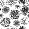 Floral seamless pattern in engraved style. Hand-sketched flower buds on white background. Perfect for textile, wallpaper, wrapping Royalty Free Stock Photo