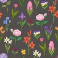 Floral seamless pattern with field and garden summer flowers vector ilustration. Field garden flowers anemone, peony and