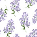 Floral seamless pattern. Flower background. Floral seamless text Royalty Free Stock Photo