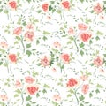 Floral seamless pattern. Flower background. Flourish ornamental summer wallpaper with flowers