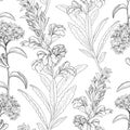 Floral seamless pattern. Flower border background. Floral tile s