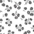 Floral seamless pattern. Flower bouquet background. Floral seamless texture with flowers chamomile. Flourish black and white tile