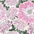 Floral seamless pattern. Flower chrysanthemum background. Flourish seamless texture with flowers. Royalty Free Stock Photo