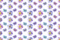 Floral seamless pattern from flowers of alpine aster. White isolated background. Close-up. Macro shooting. Concept for printing. Royalty Free Stock Photo