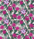 Floral seamless pattern with fucshia and pink Royalty Free Stock Photo