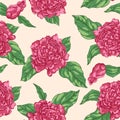 Floral seamless pattern garden flowers peonies. Vector. Design for fabrics, textiles, paper. Royalty Free Stock Photo