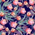 Watercolor branch of tulips. Illustration for decor.