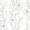 Floral Seamless Pattern With Gentle Lily Flowers.