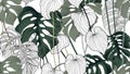 Floral seamless pattern, green, black and white split-leaf Philodendron plant with vines on white background, pastel vintage Royalty Free Stock Photo