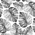 Floral seamless pattern. Hand drawing grey watercolor tropical leaves.