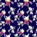 Floral seamless pattern with hand drawn ink iris flowers on blue background. Flowers lined up in harmonious uninhibited