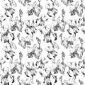 Floral seamless pattern with hand drawn ink iris and orchid flowers on white background. Flowers lined up in harmonious