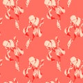 Floral seamless pattern with hand drawn red ink iris flowers on coral living background. Flowers lined up in harmonious Royalty Free Stock Photo