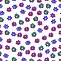 Floral seamless pattern.Hand painted daisy plum. Bright watercolor illustration. Colorful flowers on white background. Royalty Free Stock Photo