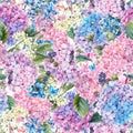 Floral seamless pattern with Hydrangea