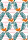 Floral seamless pattern. Isolated colorful hand drawn tropical f Royalty Free Stock Photo