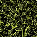 Floral seamless pattern with large hand drawn flowers Daffodils