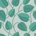 Floral seamless pattern. Leaves background. Flourish garden leaf