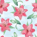 Floral seamless pattern of lilies. On a blue watercolor background