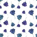 Floral seamless pattern made of roses. Acrilic painting with blue and purple flower buds on white background. Botanical Royalty Free Stock Photo