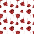 Floral seamless pattern made of roses. Acrilic painting with red flower buds on white background. Botanical illustration for Royalty Free Stock Photo