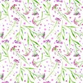 Floral seamless pattern of a meadow herbs and flowers.