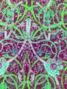 Floral Seamless pattern with paisley ornament. fabric design stock photo