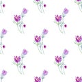 Floral seamless pattern with pasque flowers.