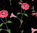 Floral seamless pattern with petunias