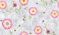 Floral seamless pattern. Pink cosmos flowers on white marble background