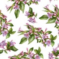 Floral seamless pattern with pink weigela