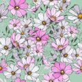 Floral seamless pattern with pink and white cosmos flowers