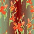 Floral seamless pattern. Red iris flower background. Royalty Free Stock Photo