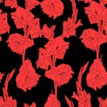 Floral seamless pattern with red line gladiolus on black background. Royalty Free Stock Photo