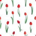 Floral seamless pattern with red tulip flowers and green leaves isolated on white background. Endless texture for spring Royalty Free Stock Photo