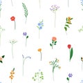 Floral seamless pattern, repeating background. Endless texture, field flowers, summer blooms, branches, tiny wildflowers