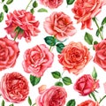 Floral Seamless pattern. Roses flowers, watercolor botanical illustration