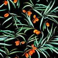 Floral seamless pattern with sea buckthorn and branches.