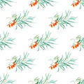 Floral seamless pattern of a sea buckthorn and branches.