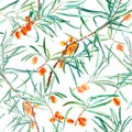 Floral seamless pattern of a sea buckthorn and branches.